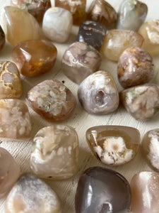 Flower Agate Tumbled Stone