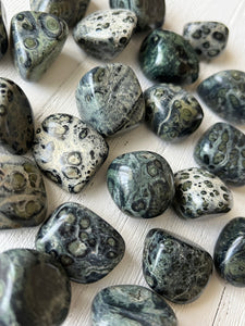 Kambaba Jasper Tumbled Stone