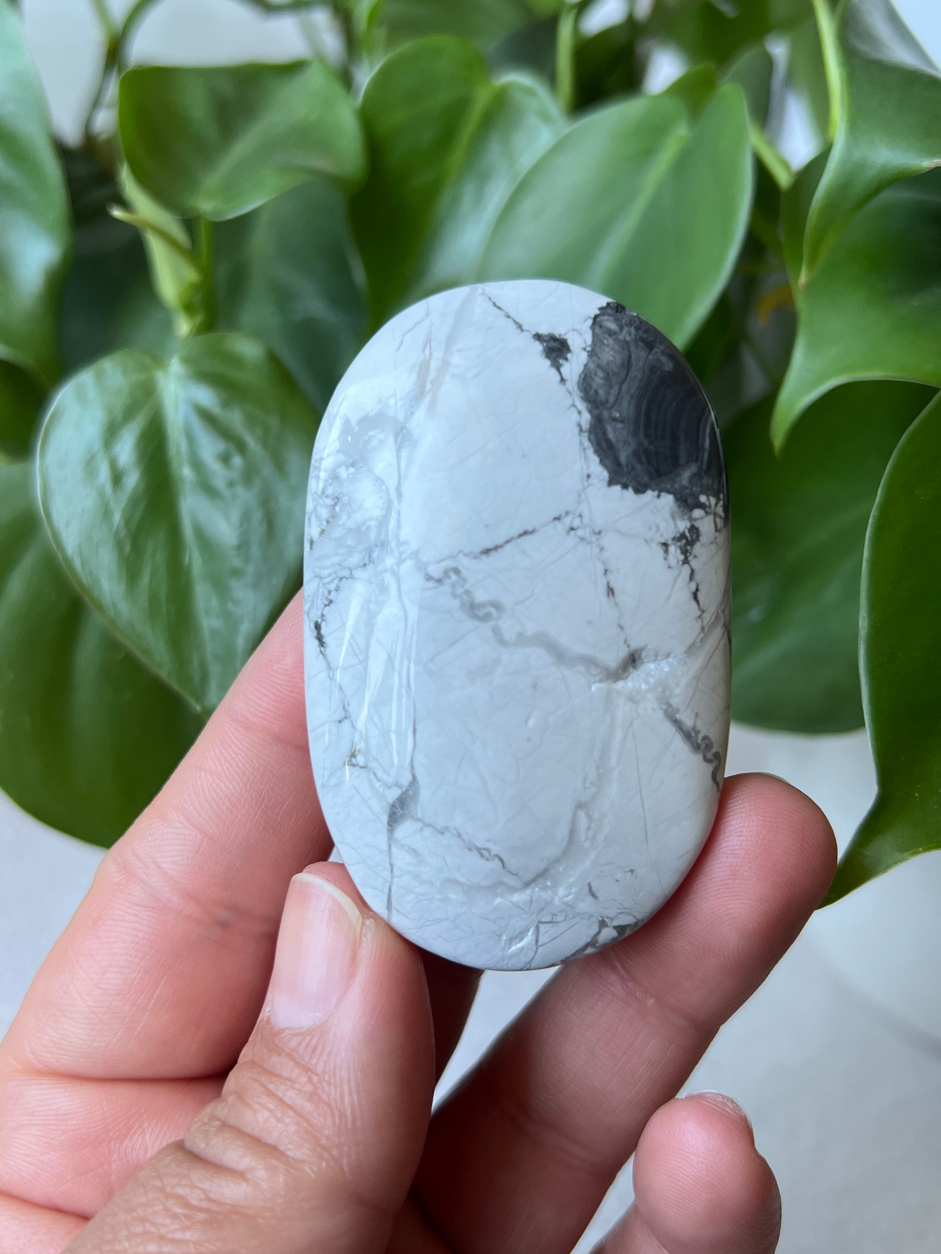 Howlite Palm Stones