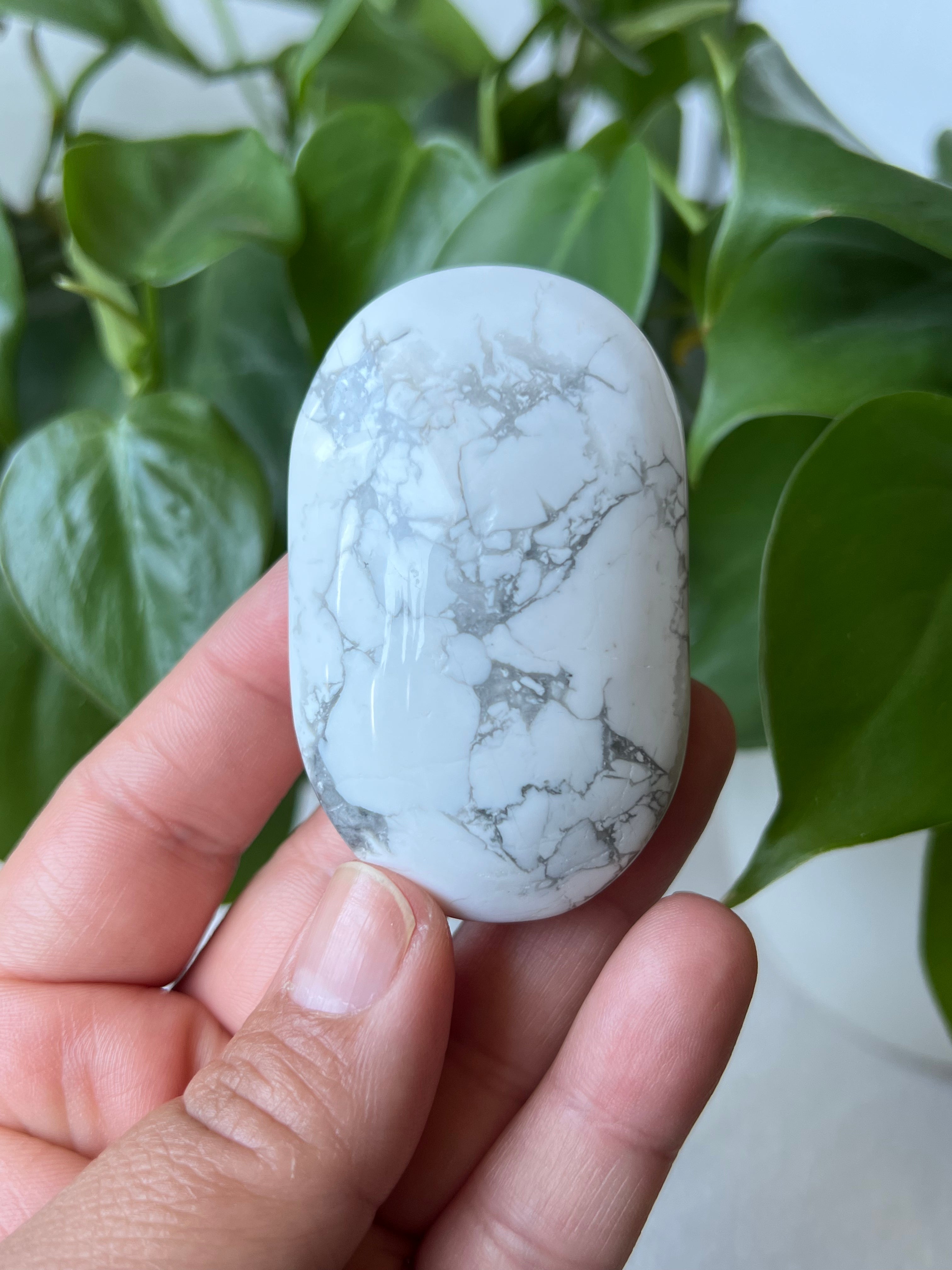 Howlite Palm Stones