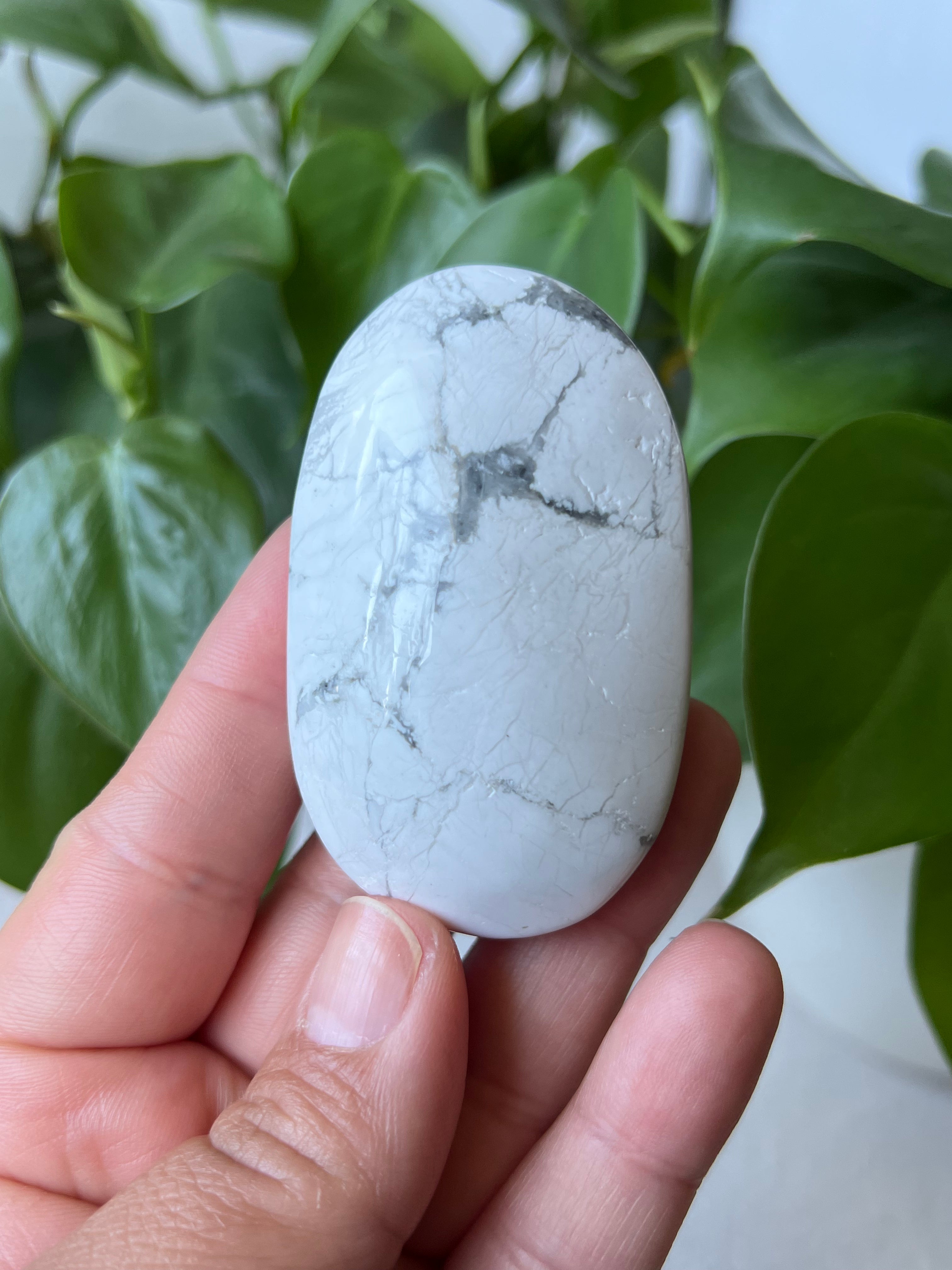 Howlite Palm Stones