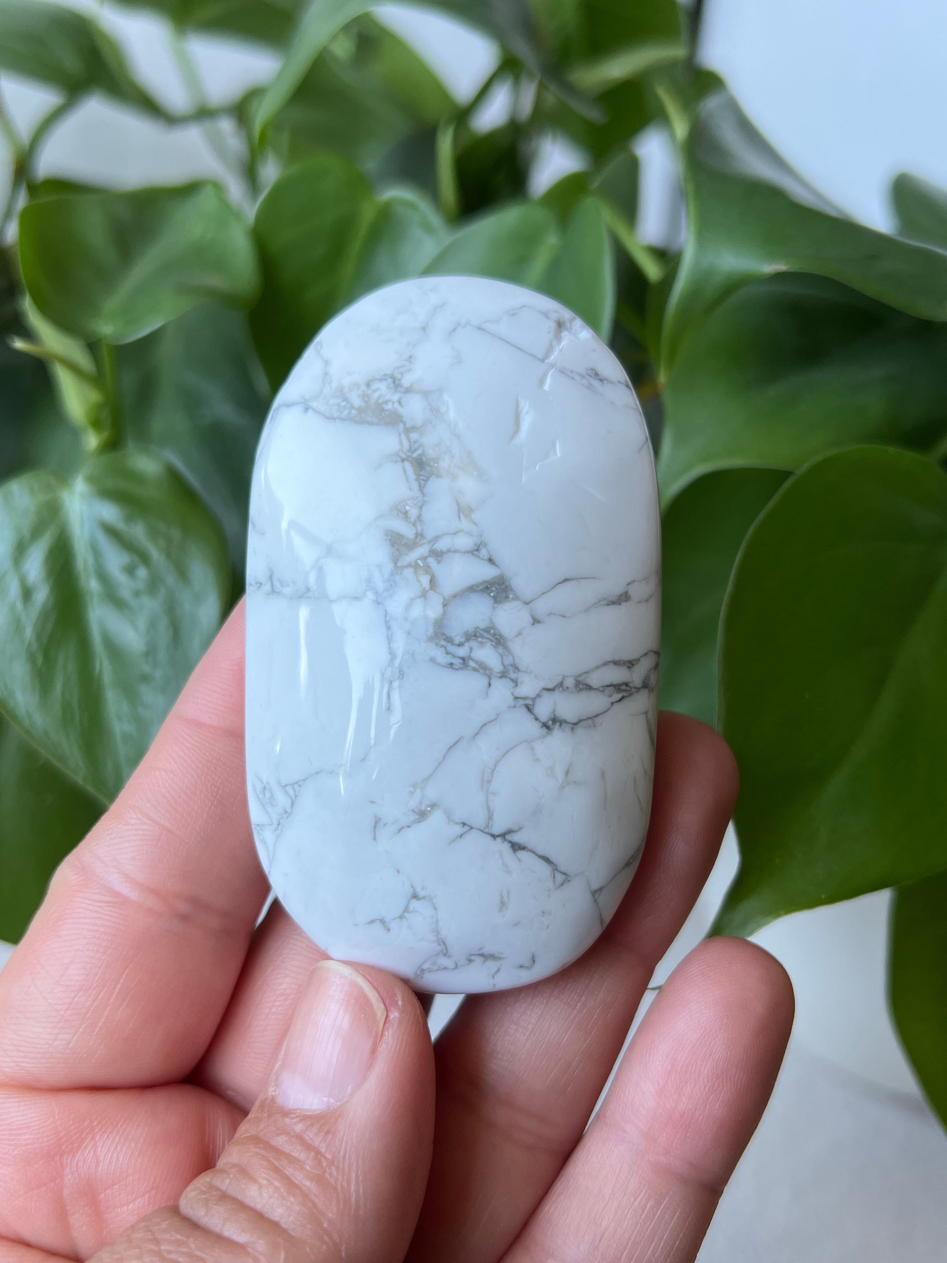 Howlite Palm Stones