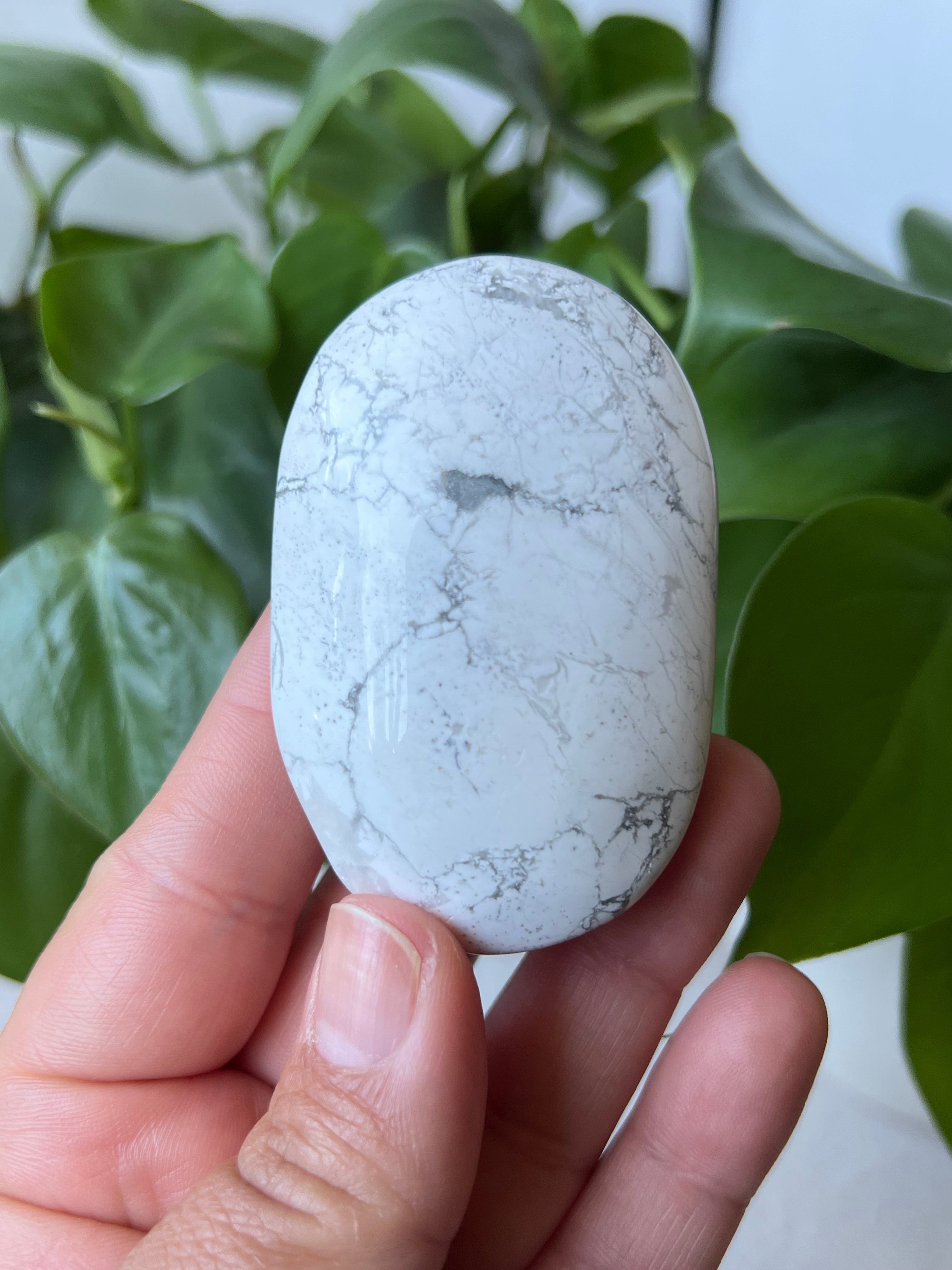 Howlite Palm Stones