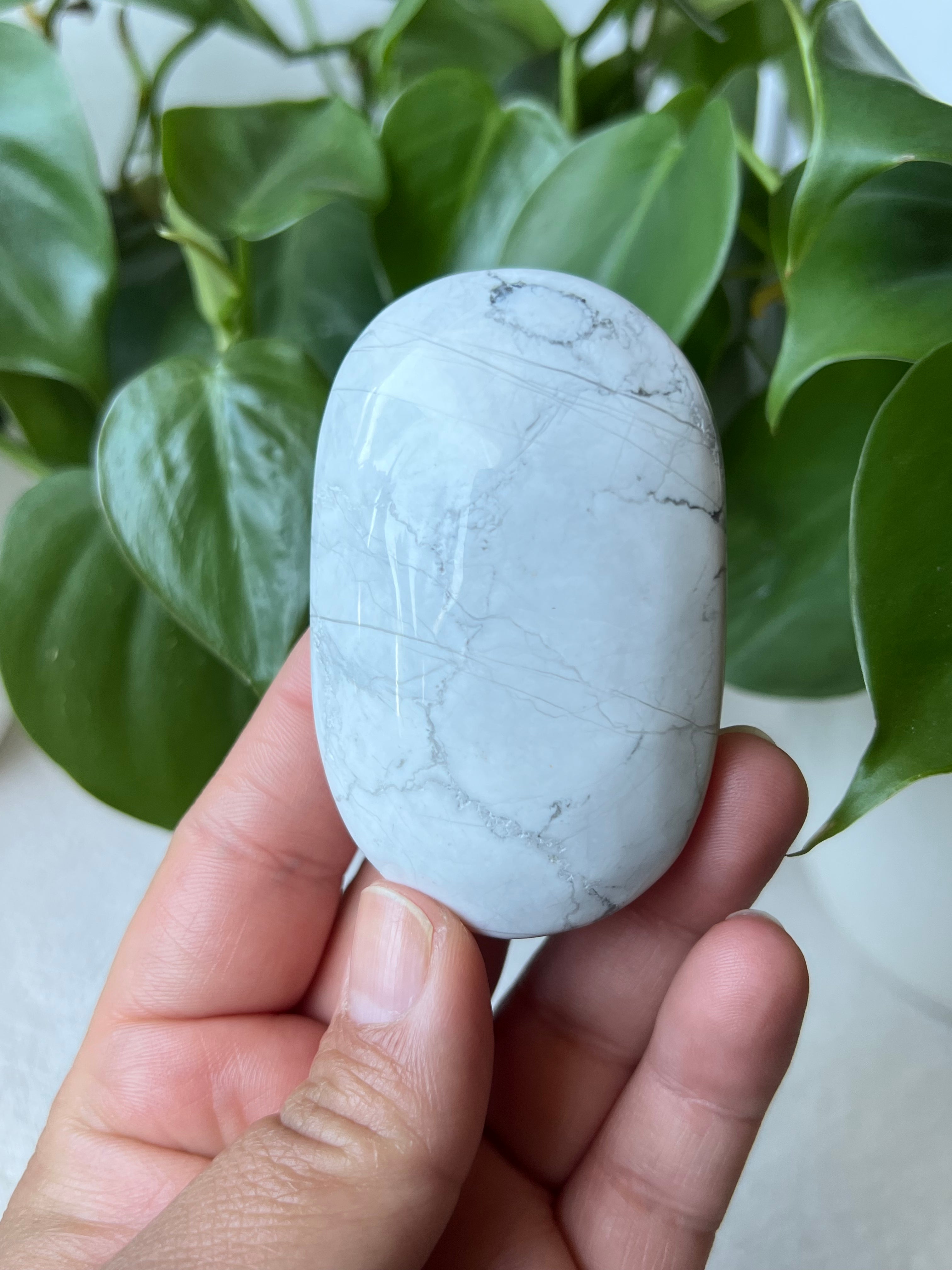 Howlite Palm Stones