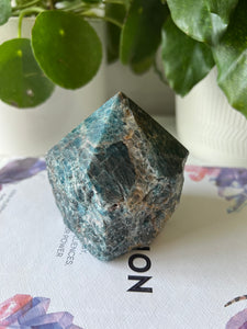 Apatite Top polish point