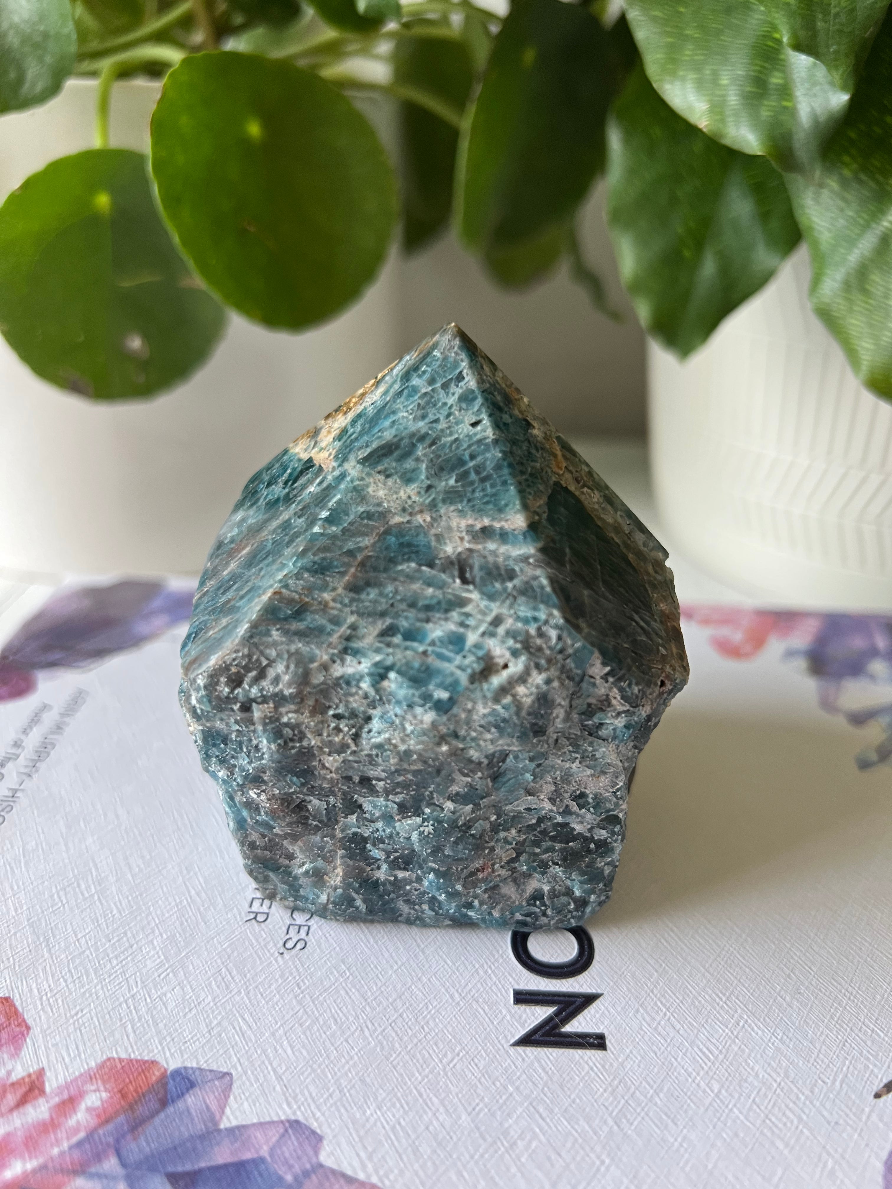 Apatite Top polish point