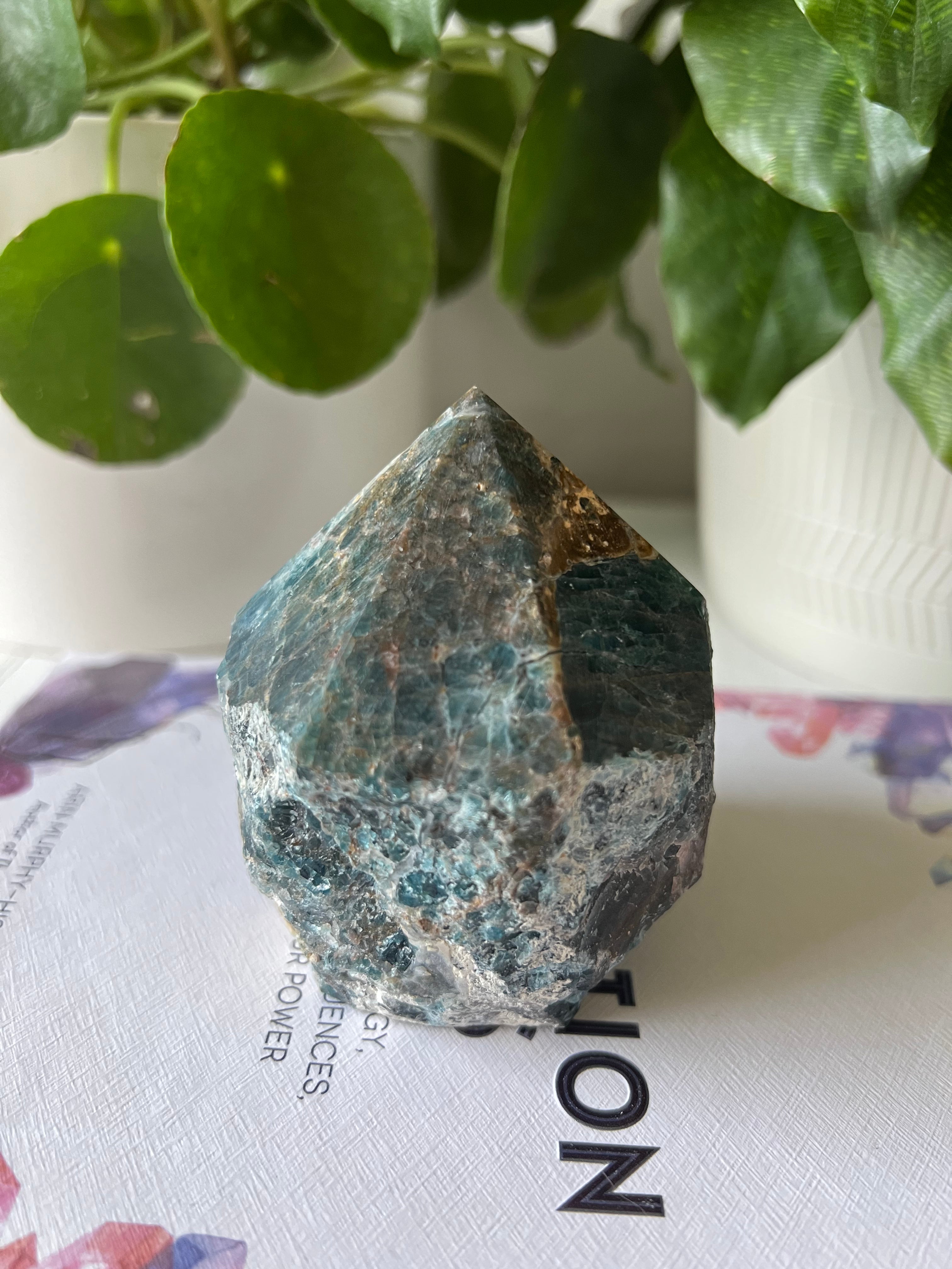 Apatite Top polish point