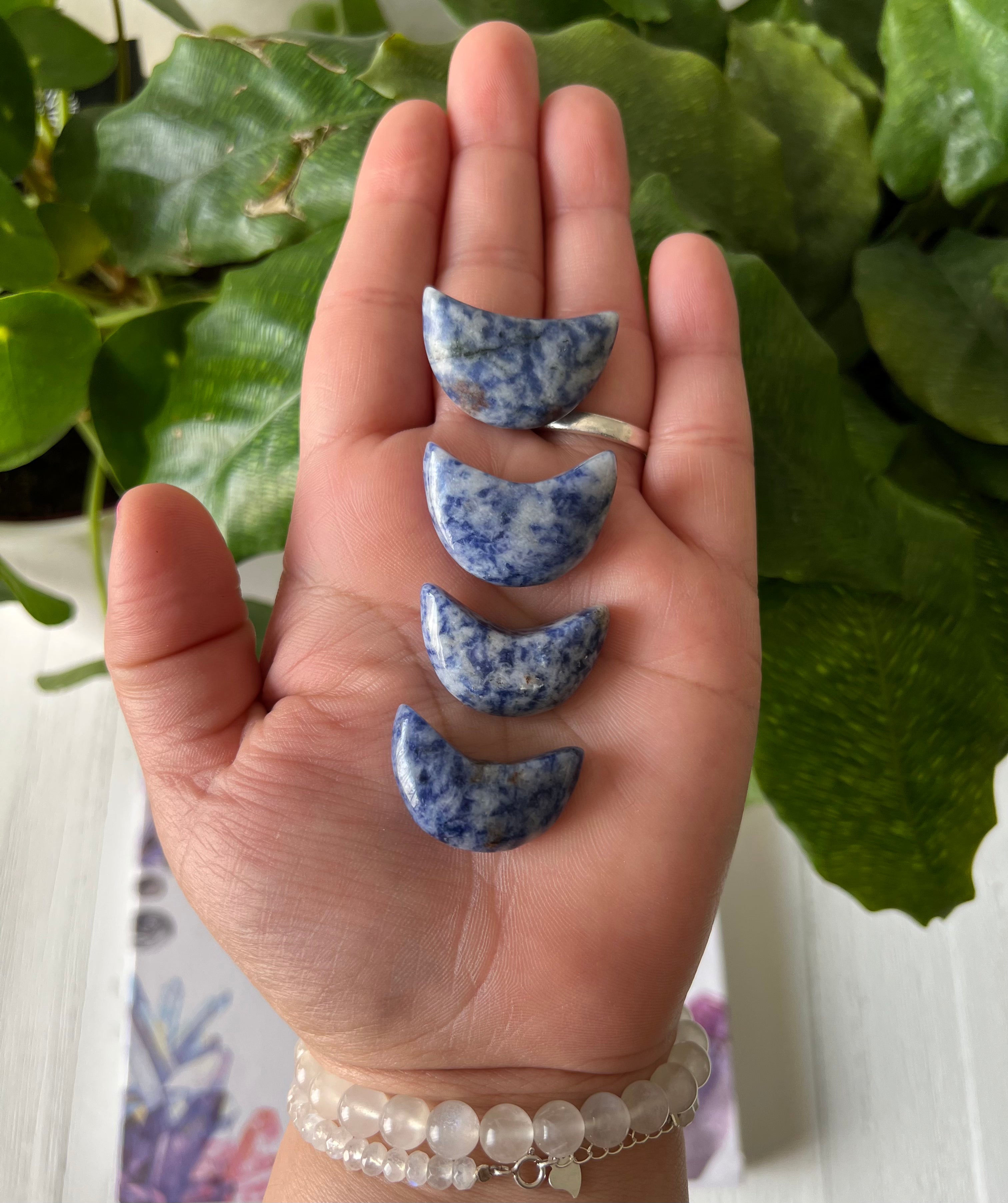 Sodalite Crescent Moon