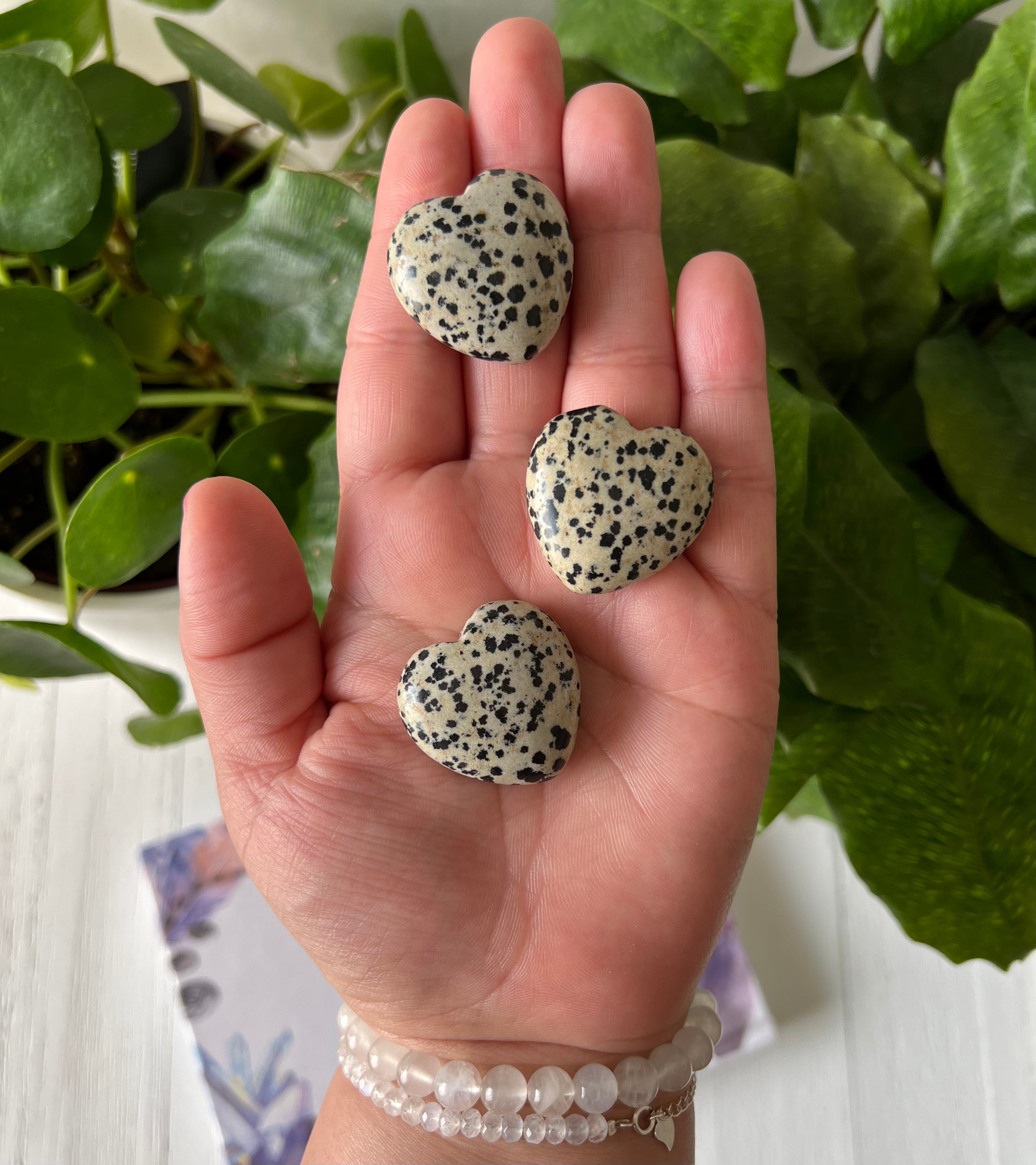 Dalmatian Jasper Small Hearts