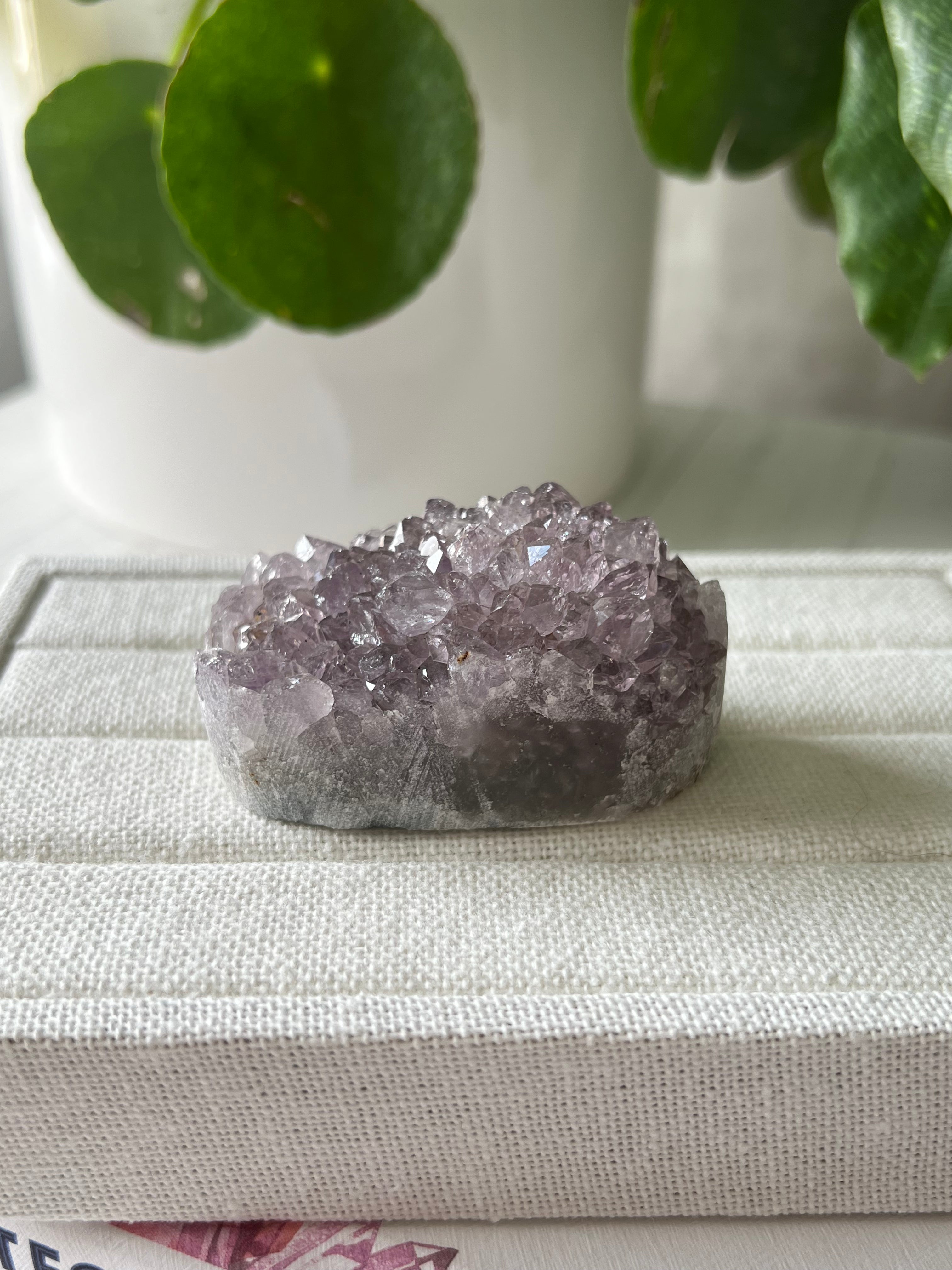 Amethyst Cluster (D)