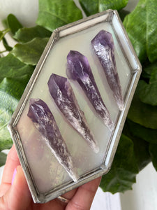 Amethyst Root